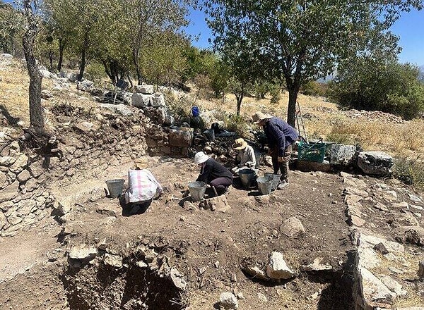 Kömürleşmiş tohum ve tahıl kalıntıları bulundu