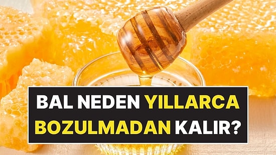 Balın Binlerce Yıl Bozulmadan Kalmasının Nedeni Belli Oldu