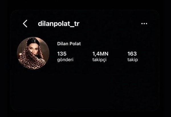 Mahkeme kararıyla Dilan Polat'ın Instagram, TikTok, YouTube ve Facebook dahil aktif olarak kullandığı tüm sosyal medya hesaplarına erişim engeli getirildi.