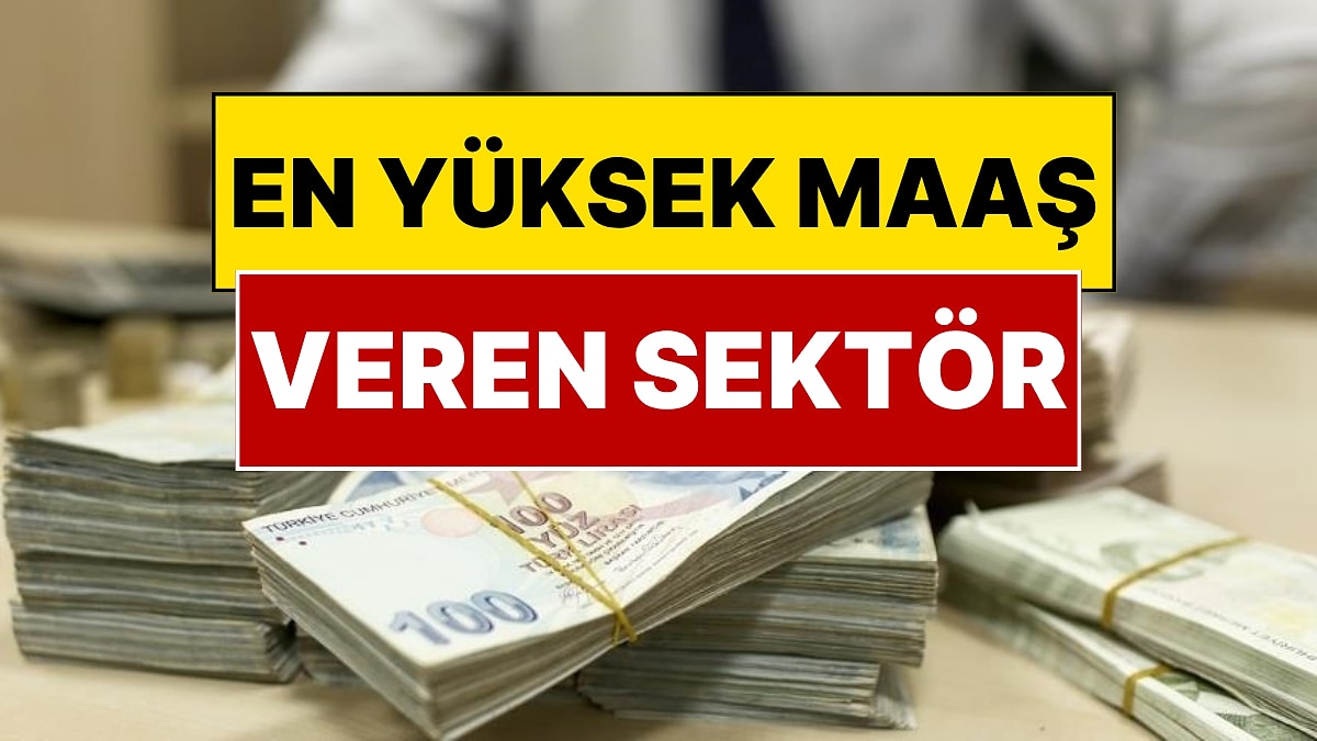 Türkiye’de En Yüksek Maaş Veren Sektör Belli Oldu