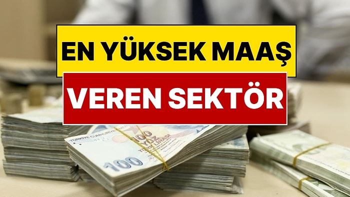 Türkiye’de En Yüksek Maaş Veren Sektör Belli Oldu
