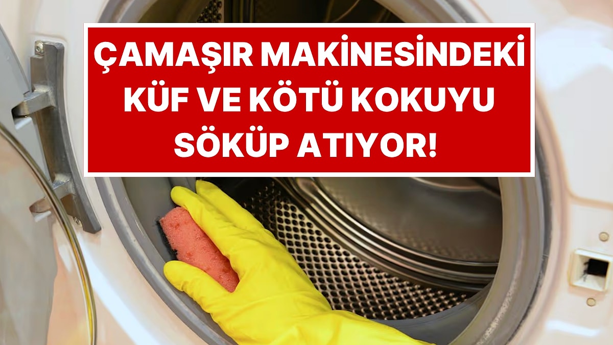 Çamaşır Makinesine Boşken Atılıyor, Küf ve Kötü Kokuyu Söküp Atıyor