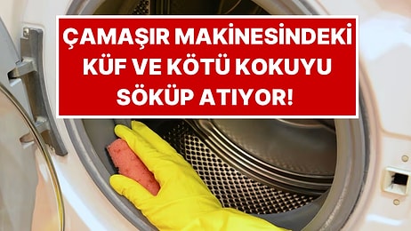 Çamaşır Makinesine Boşken Atılıyor, Küf ve Kötü Kokuyu Söküp Atıyor