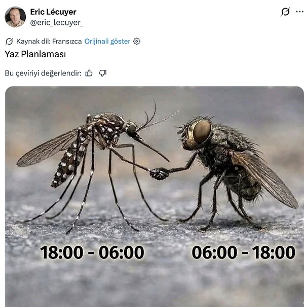 Bu viral tweetimiz de Fransa'dan.