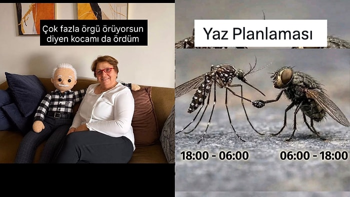 Örgü Delilerinden Sineklerin Favori Mevsimine Son 24 Saatin Viral Tweetleri