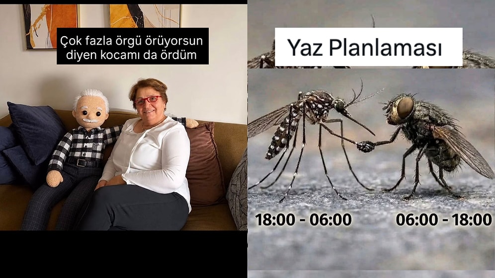 Örgü Delilerinden Sineklerin Favori Mevsimine Son 24 Saatin Viral Tweetleri