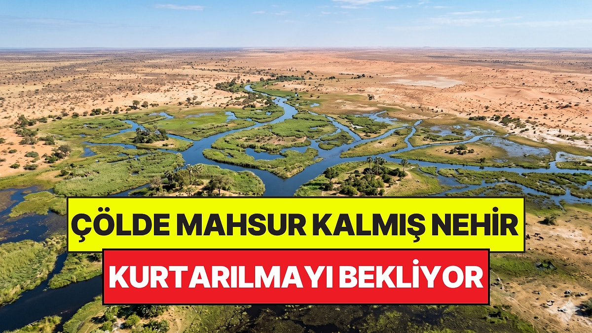 Çölün Ortasında Mahsur Kalmış Dev Nehir: Hiçbir Yere Dökülmüyor, Hızla Kuruyor