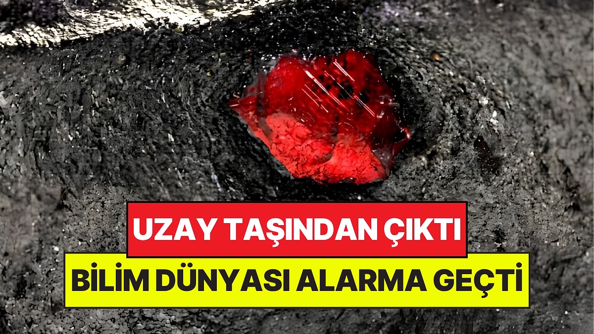 Uzaydan Gelen Taşın İçinden Çıktı: Bilim Dünyası Alarma Geçti