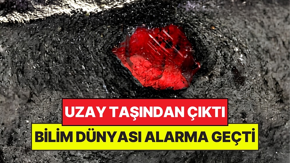 Uzaydan Gelen Taşın İçinden Çıktı: Bilim Dünyası Alarma Geçti