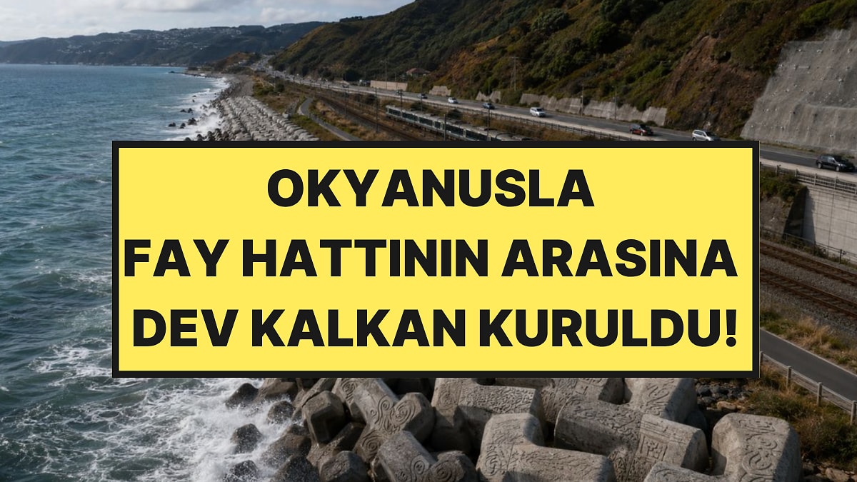 Depreme ve Dev Dalgalara Karşı 7 Bin X Şeklinde Beton Bloğu Yapboz Gibi Dizdiler