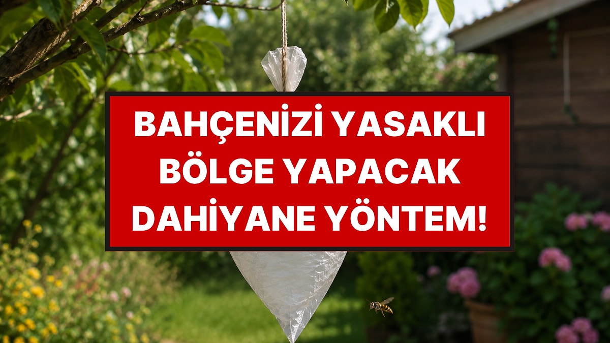 Bahçenize Bir Poşet Asmanız Yetiyor, Yaban Arıları Uzak Duruyor