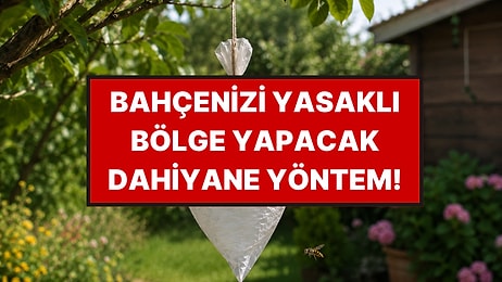 Bahçenize Bir Poşet Asmanız Yetiyor, Yaban Arıları Uzak Duruyor