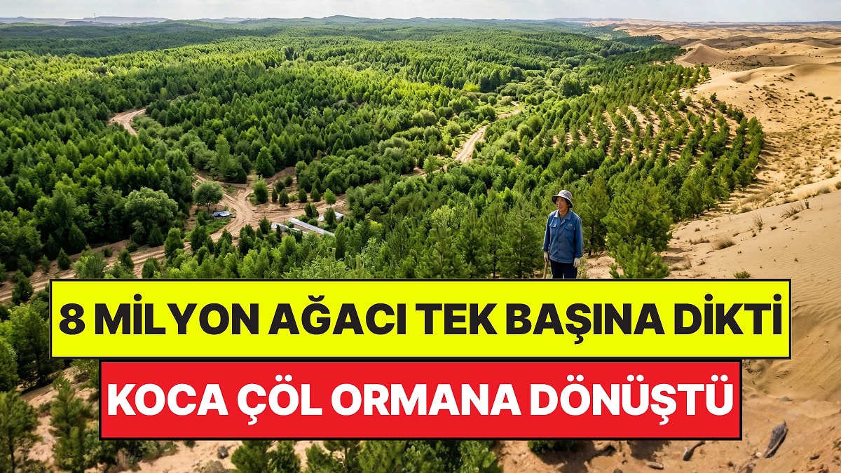 8 Milyon Ağacı Tek Başına Dikti: Koca Çöl Ormana Dönüştü