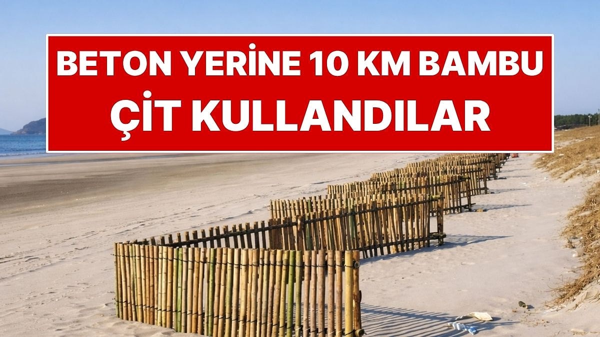 Beton Yerine 10 Kilometre Bambu Kullandılar: Kendi Kendini Onardı!