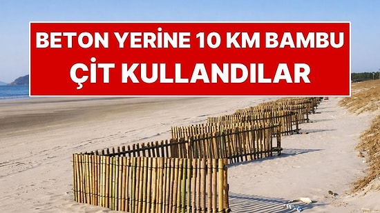 Beton Yerine 10 Kilometre Bambu Kullandılar: Kendi Kendini Onardı!