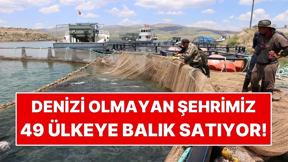 Türkiye'de Denizi Yok Ama 49 Ülkeye Balık Gönderiyor: Günde 100 Tona Yakın Hasat Yapılıyor