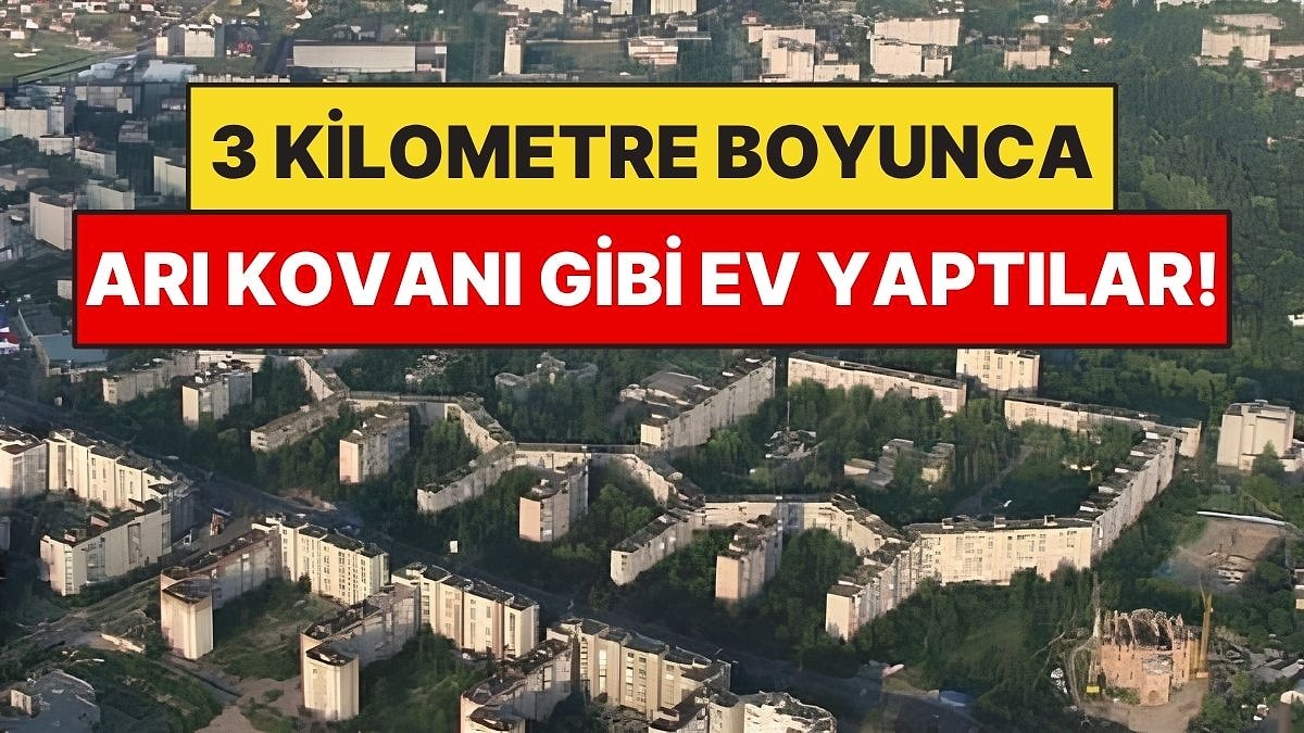 3 Kilometre Boyunca Arı Kovanı Gibi Ev Yaptılar: İnşaatı 11 Yıl Sürdü
