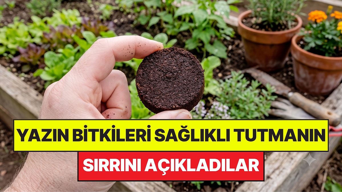 Bahçe Uzmanları Yazın Bitkileri Sağlıklı Tutmanın Sırrını Açıkladı