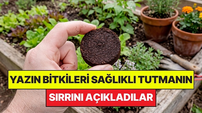 Bahçe Uzmanları Yazın Bitkileri Sağlıklı Tutmanın Sırrını Açıkladı