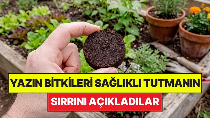 Bahçe Uzmanları Yazın Bitkileri Sağlıklı Tutmanın Sırrını Açıkladı
