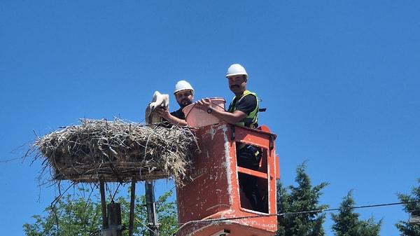 Doğayla insanın en uyumlu şekilde bir arada yaşadığı Karakavak’ta, 20-21 Haziran 2026 tarihlerinde gökyüzü ve yuvalar renkli görüntülere sahne oldu.