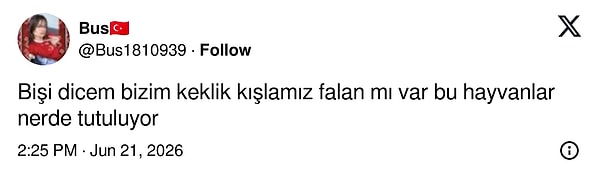 👇🏻