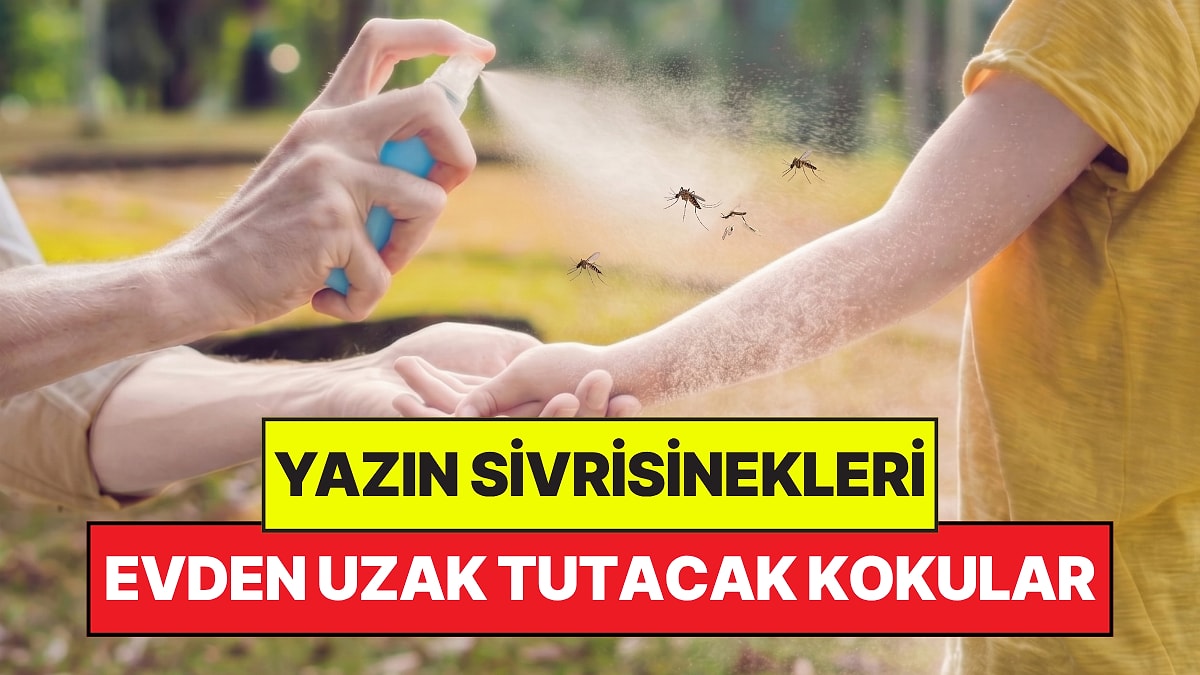 Yazın Sivrisinekleri Allah'a Yakın, Evinizden Uzak Tutan Kokular: Birkaç Damla Yetiyor