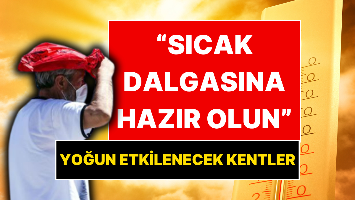 s-a6effb72e5336cb5b7e5f329053f82ce95b5c440.jpg