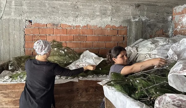 15 yıl önce evlendiğinde eltisi Yıldız Sıkkın'ın tavsiyesiyle bu işe adım attığını belirten Ayşe Akat ise işin getirisinin tatmin edici olduğunu vurguladı.