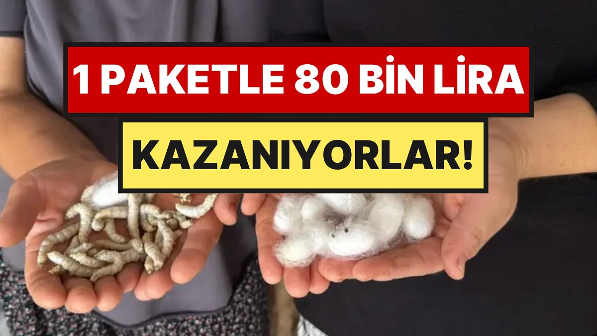 Evlerinin Alt Katını Üretim Tesisi Yaptılar: 1 Paketle 80 Bin Lira Kazanıyorlar
