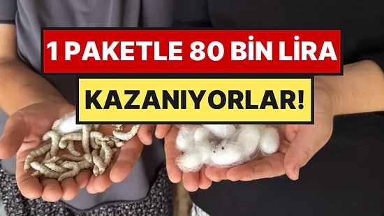 Evlerinin Alt Katını Üretim Tesisi Yaptılar: 1 Paketle 80 Bin Lira Kazanıyorlar