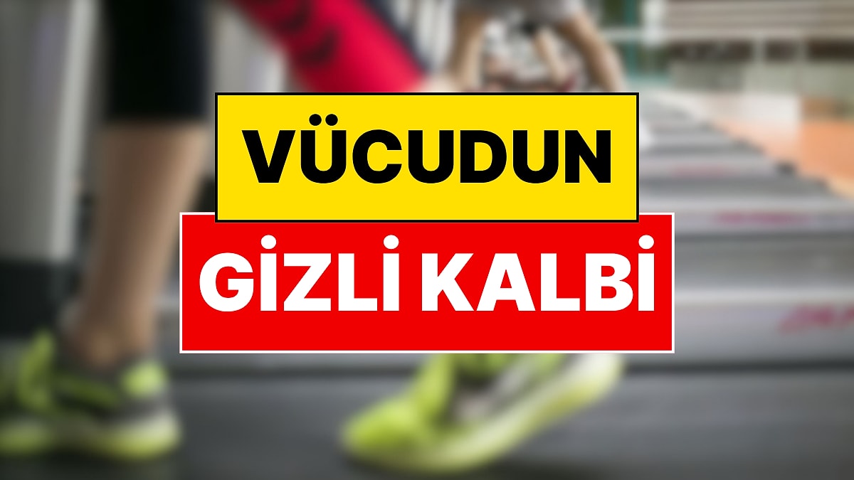 Profesör Kaan Yılancıoğlu Uzun Yaşamın Sırrını Açıkladı