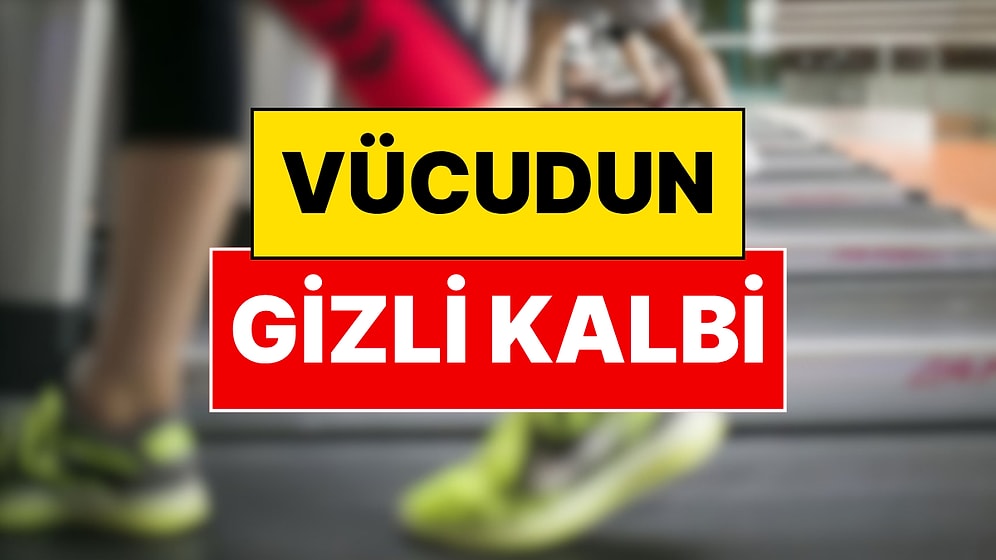Profesör Kaan Yılancıoğlu Uzun Yaşamın Sırrını Açıkladı