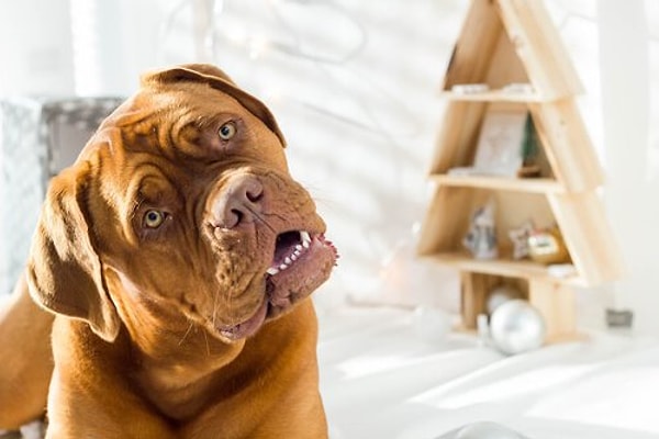 Is the Sound of Nodding Related to Hearing Better?
