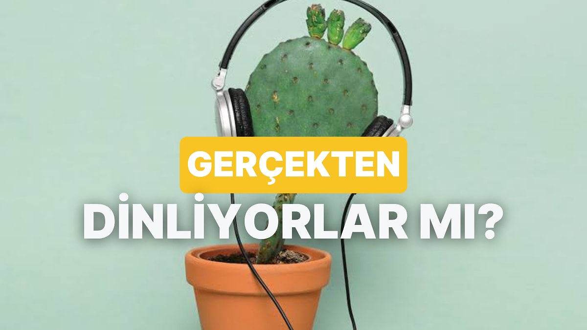 Bitkiler Mozart Dinlemeyi Gerçekten Seviyor mu?