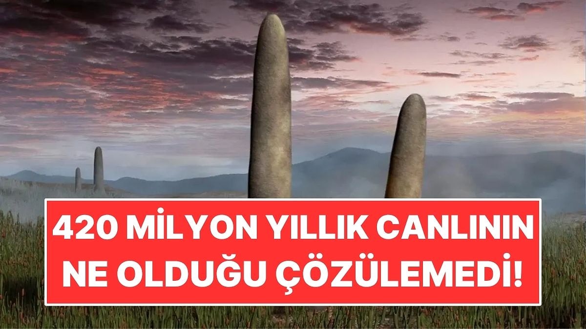 420 Milyon Yıllık Dev Canlının Ne Olduğunu Hala Çözemediler