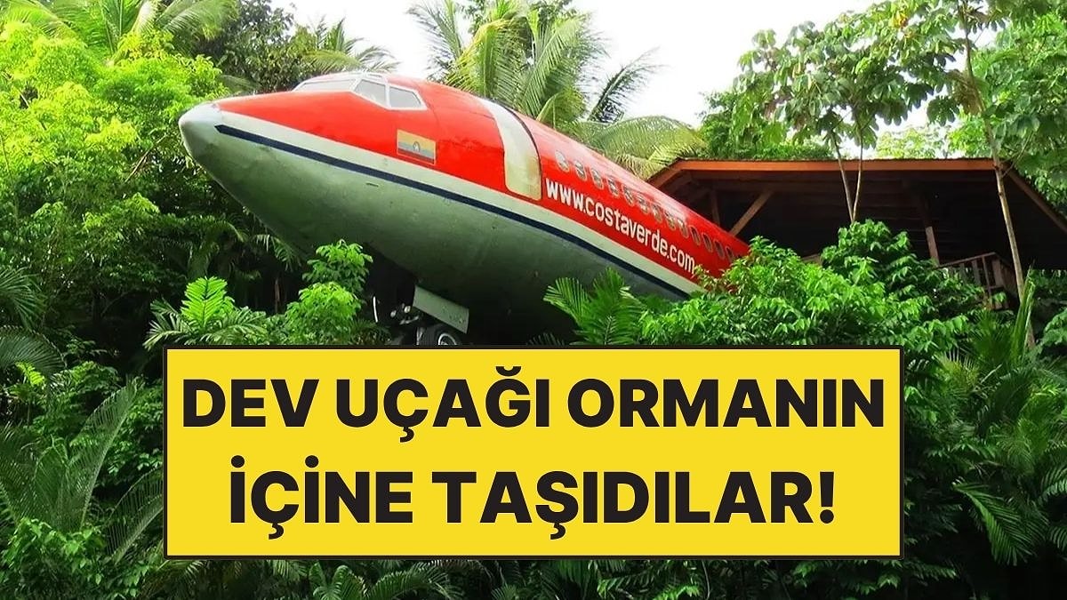Dev Uçağı Parça Parça Ormanın İçine Taşıyarak Lüks Otele Dönüştürdüler