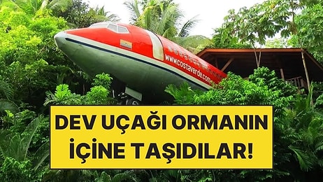 Dev Uçağı Parça Parça Ormanın İçine Taşıyarak Lüks Otele Dönüştürdüler