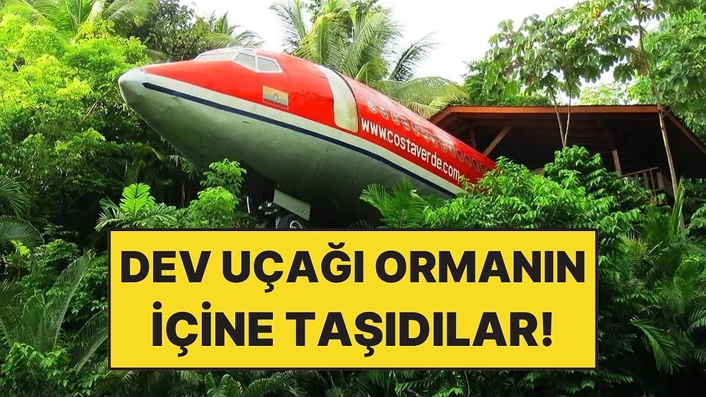 Dev Uçağı Parça Parça Ormanın İçine Taşıyarak Lüks Otele Dönüştürdüler