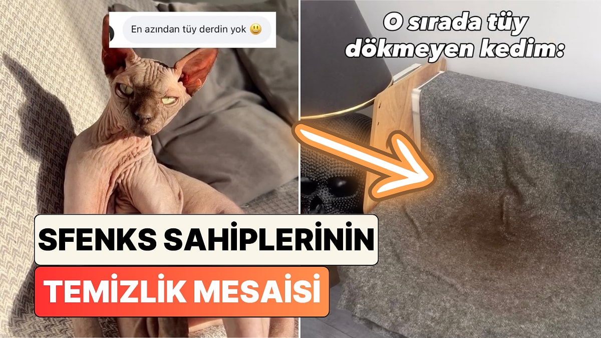 Sfenks Besleyenlerin Temizlik Çilesi! Bir Kadın Tüysüz Kedisinin Asıl Temizlik Mesaisini Paylaştı