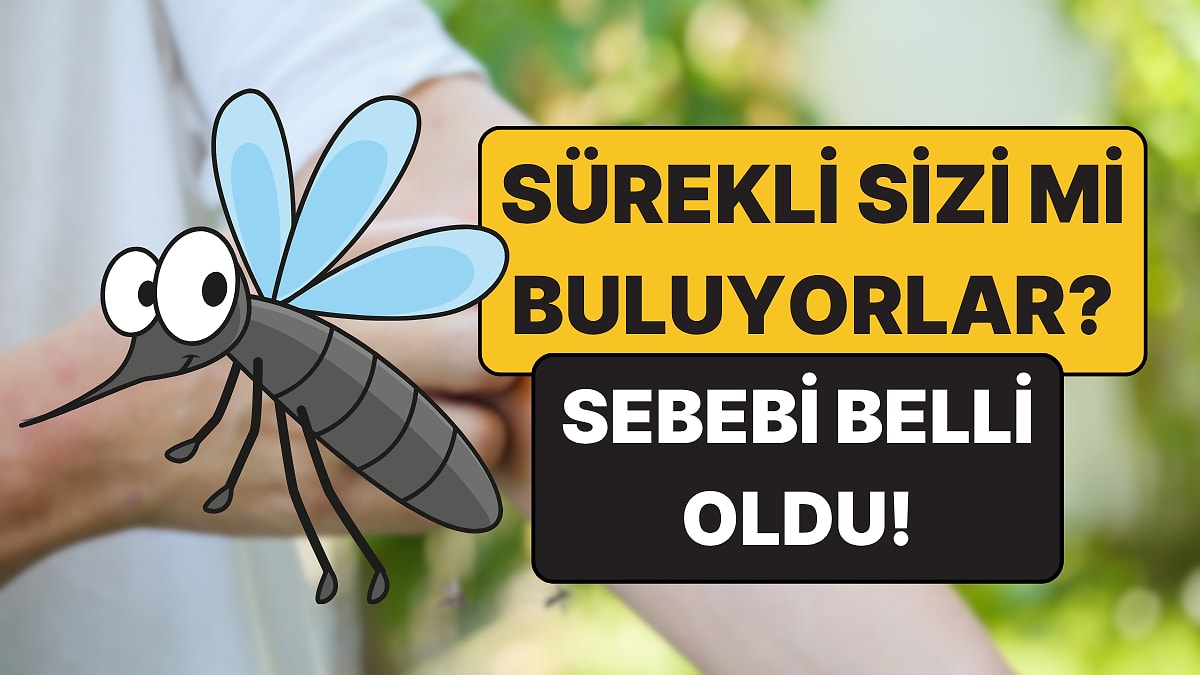 Sivrisineklerin Kan Grubu Seçtiği Doğru mu?