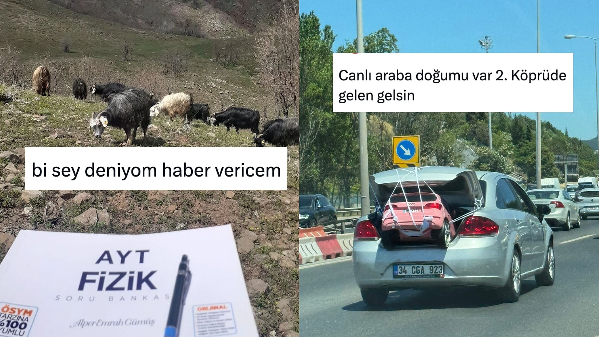 Günlük Hayatta Karşılaştıkları Manzaralardan Mizah Çıkaran Kişiler