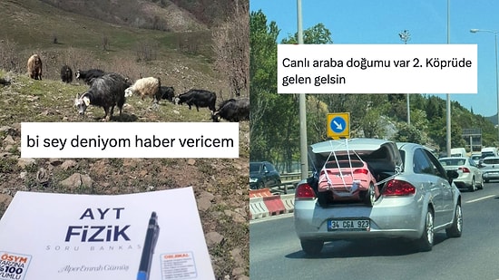 Günlük Hayatta Karşılaştıkları Manzaralardan Mizah Çıkaran Kişiler