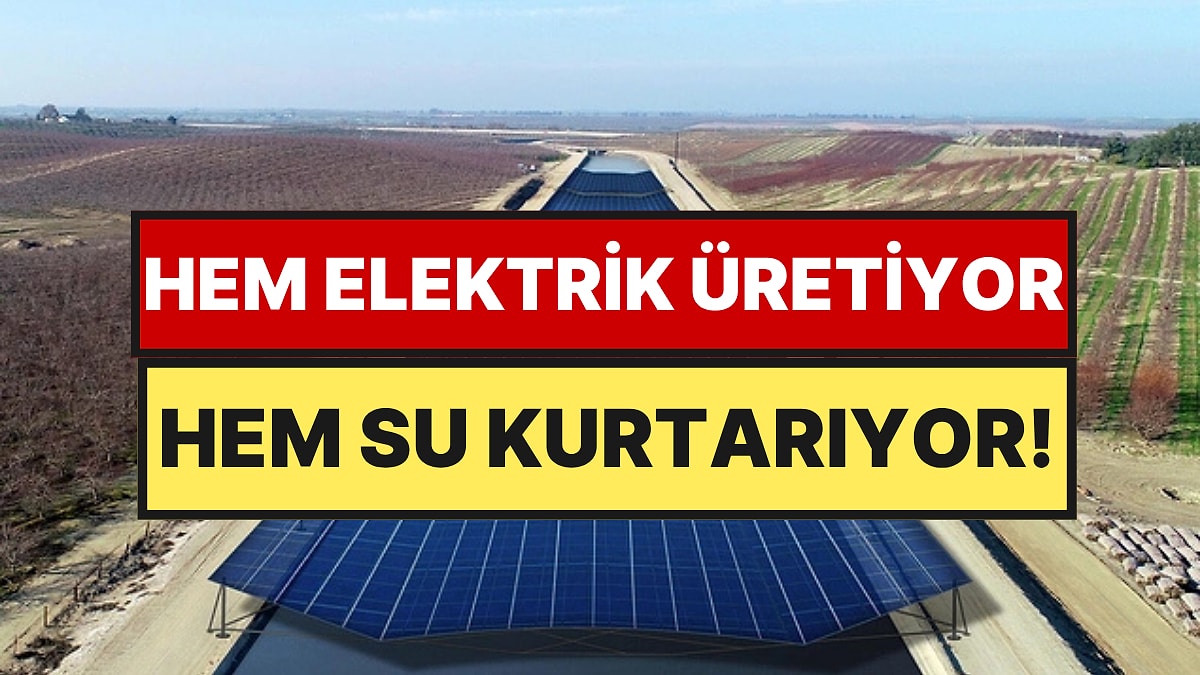 Toprak Yetmedi Bu Kez Suyun Üzerine Kuruyorlar: Kilometrelerce Uzanacak