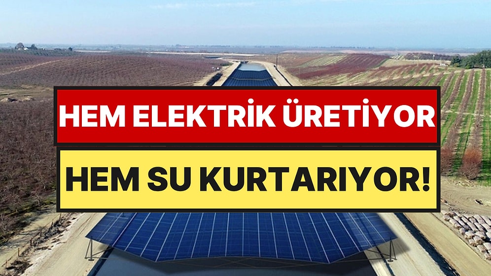 Toprak Yetmedi Bu Kez Suyun Üzerine Kuruyorlar: Kilometrelerce Uzanacak