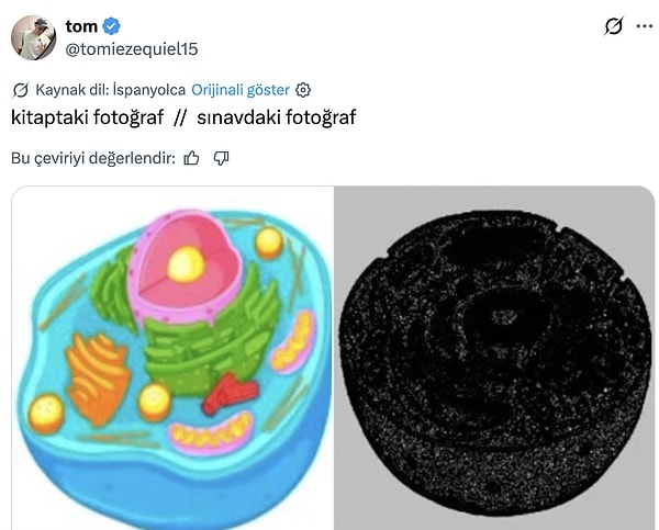 Bazı dertler evrensel.