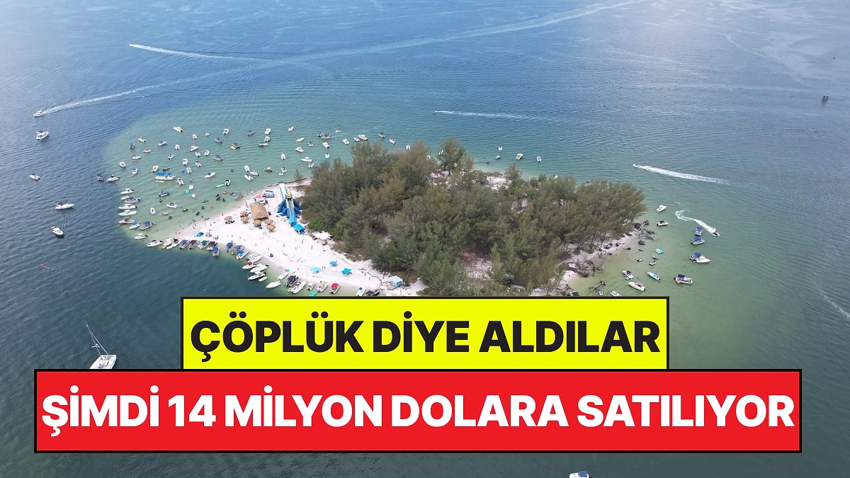 4 Arkadaşın Çöplük Diye Aldığı Ada Şimdi 14 Milyon Dolara Satılıyor