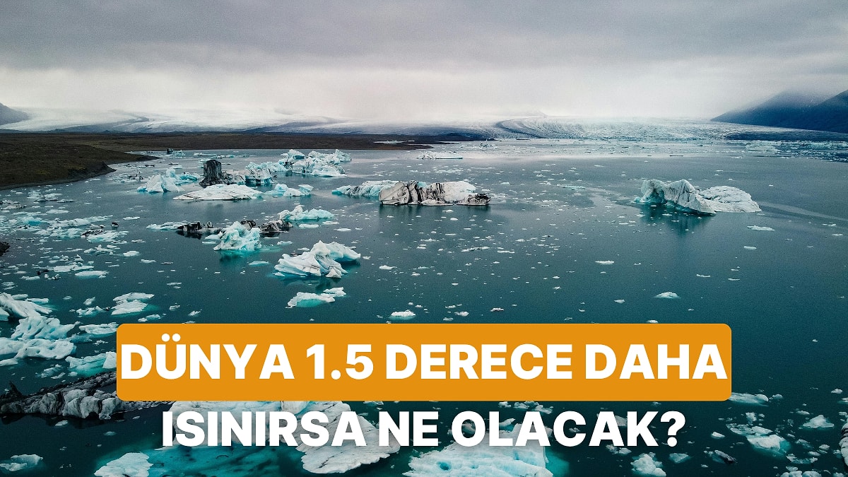 1.5 Derece Sınırını Aşarsak Dünyanın Alacağı Hali Gösteren 10 Korkutucu Senaryo