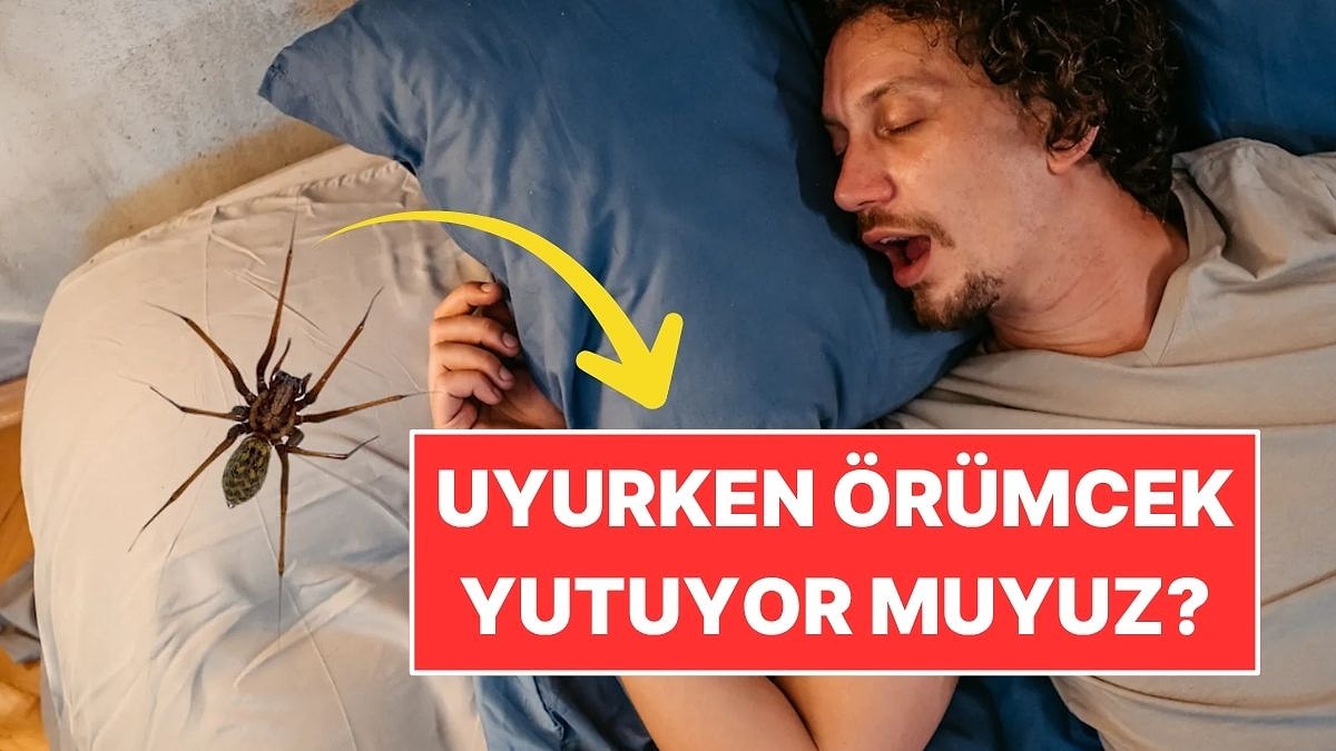 Uyurken Yılda 8 Örümcek Yuttuğumuz Doğru mu?