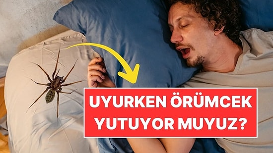 Uyurken Yılda 8 Örümcek Yuttuğumuz Doğru mu?